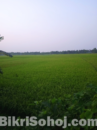 রূপগঞ্জে প্রিমিয়াম ইনভেস্টমেন্ট: ৭০ শতাংশ জমি এখনই আপনার